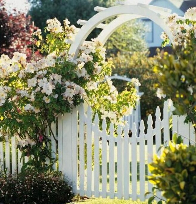 Арка/пергола вход на участок. Фото из Интернета.