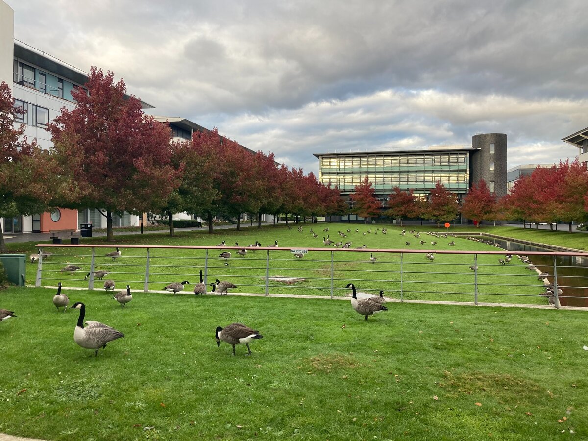 University of Warwick (фото из архива Миши)