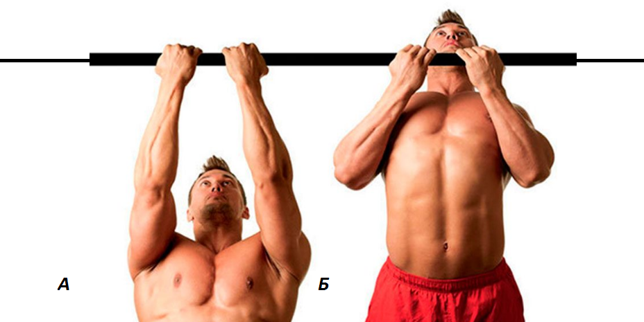 Подтягивания на бицепс ладонями к себе