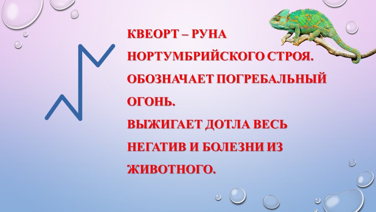 Нужна ли чистка и защита нашим домашним питомцам? | Карина Таро | Дзен