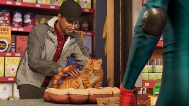 Да, местные жители все еще просят вас забрать их потерянную кошку. Sony