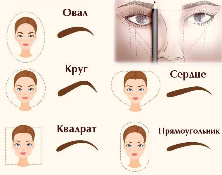 Брови форма правильная фото в домашних Как подобрать правильную форму бровей Маркет красоты Дзен