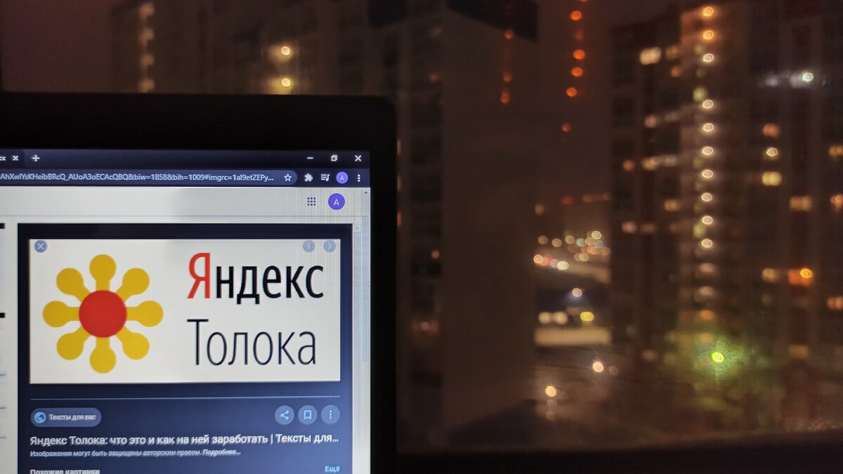 "Яндекс Толока не лучший сервис для заработка в Интернете"
