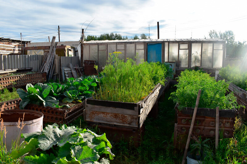 Такая вот она, Чукотка, край контрастов