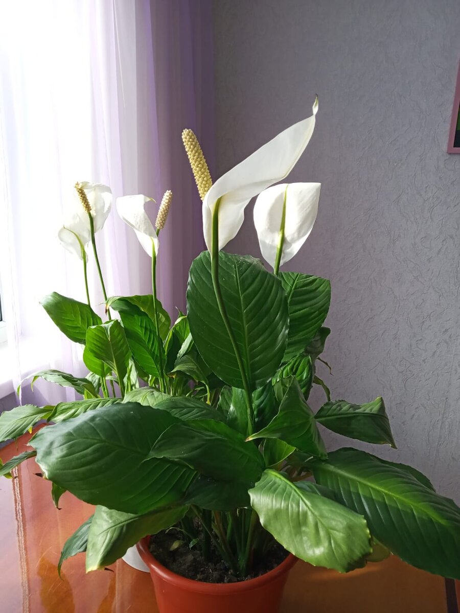 Фото из личного архива
