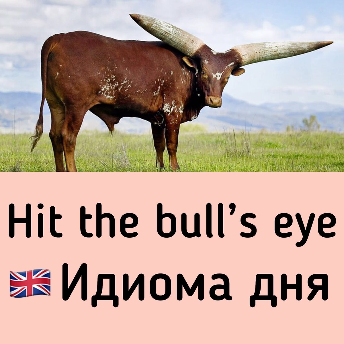 Уникальная картинка автора