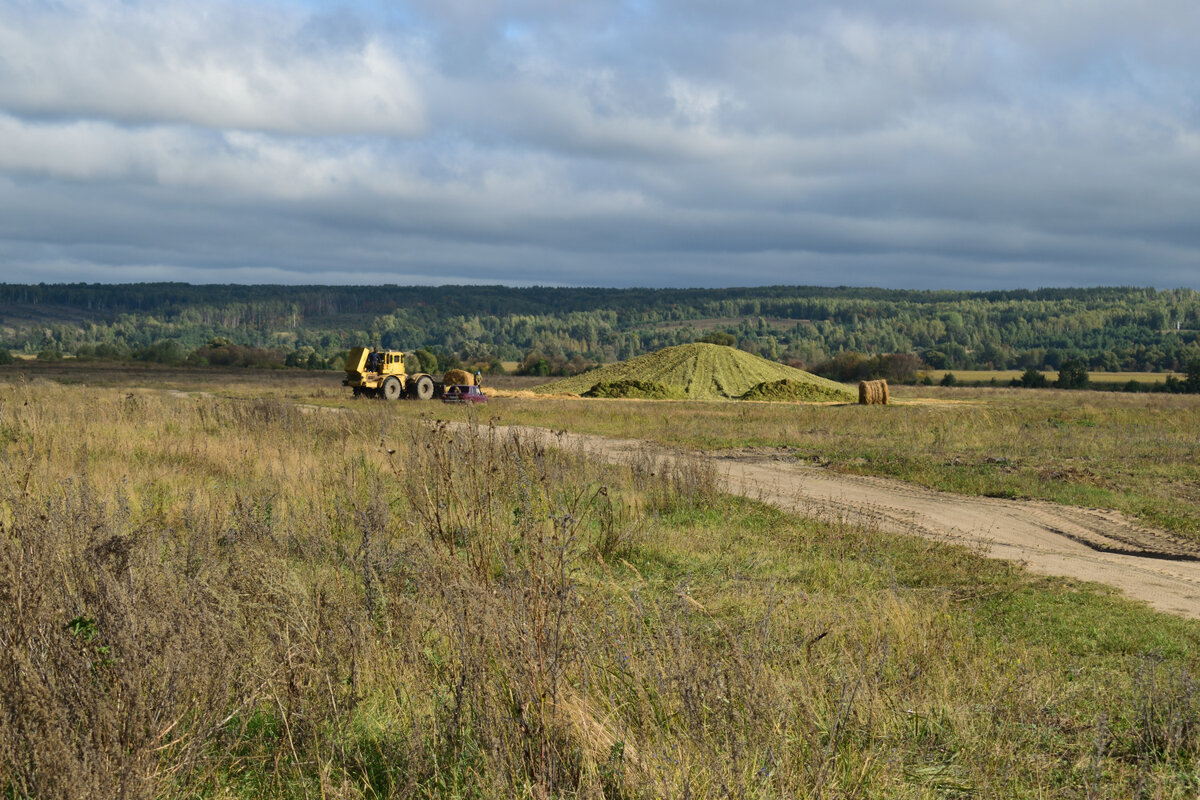 А вот и сельхозтехника.