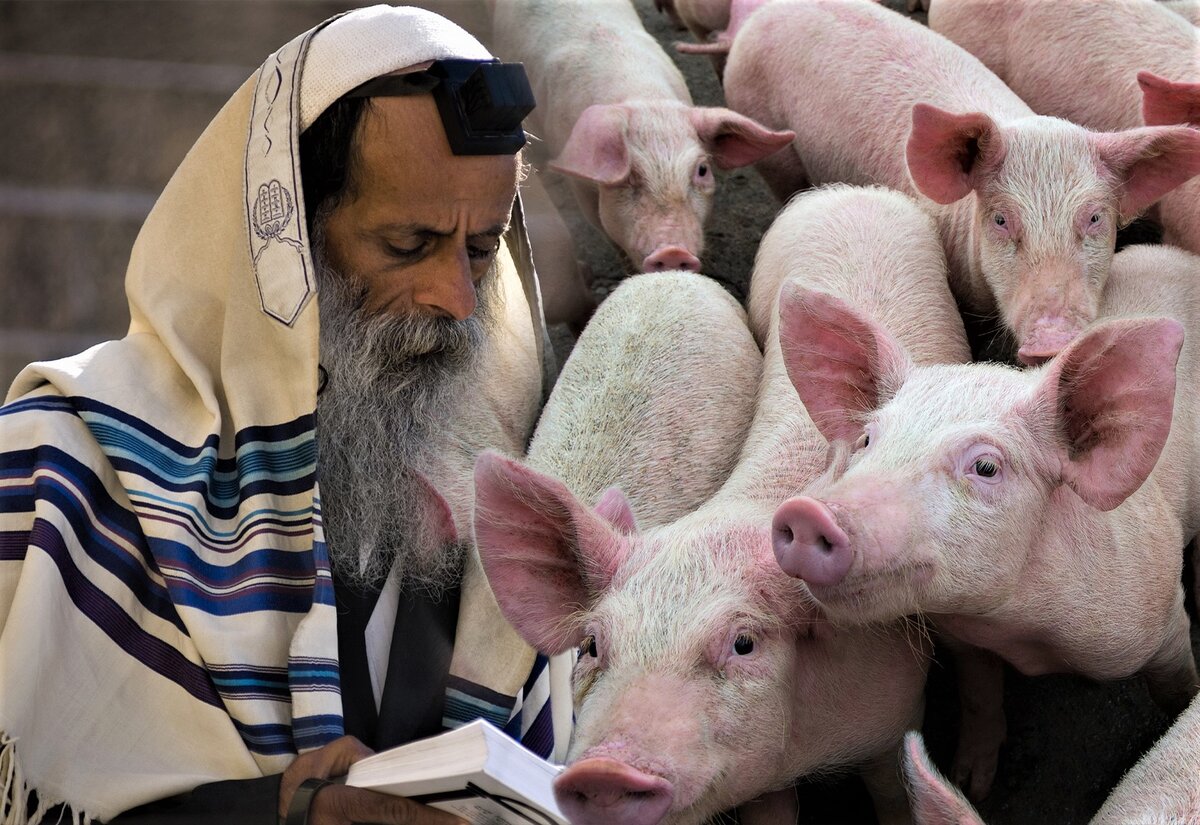 Почему мусульмане не едят свинину