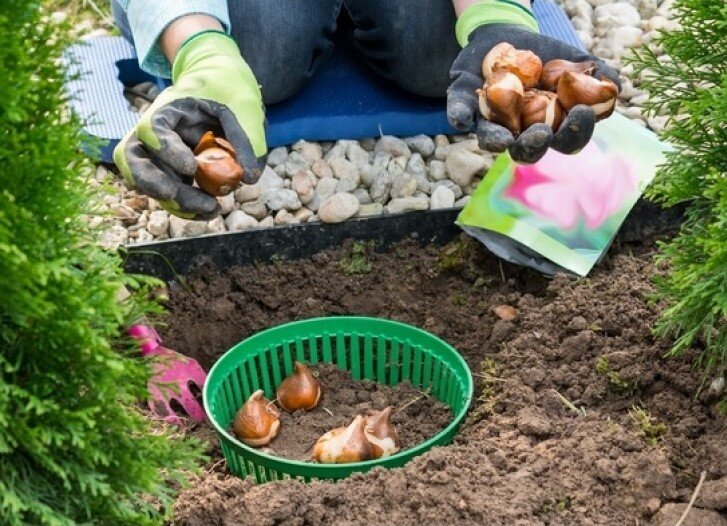 фото s-lopatoy.ru