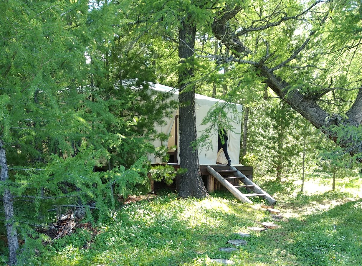 Душевое помещение