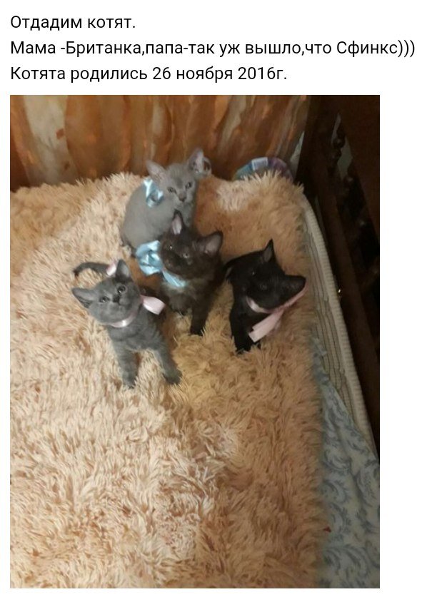 фото из Вконтакте