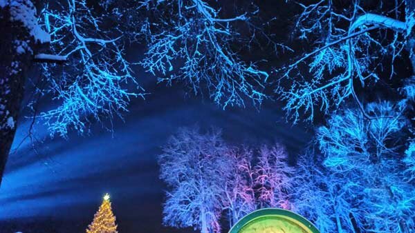 http://svetmaiaka.ru/stihi/7170-chudo_v_gorodskom_sadu/