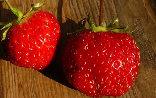 Клубника -ароматная и сочная, садовая!