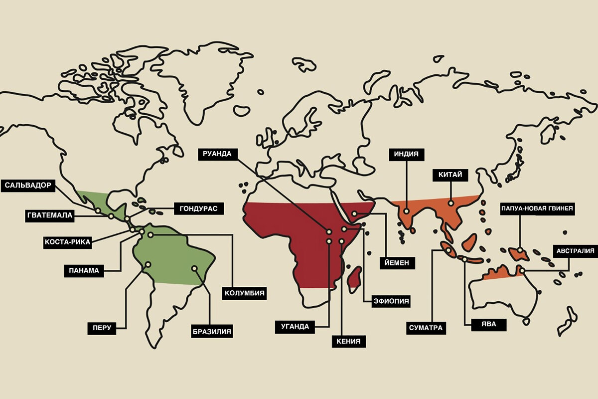 Карта распространения кофе по миру