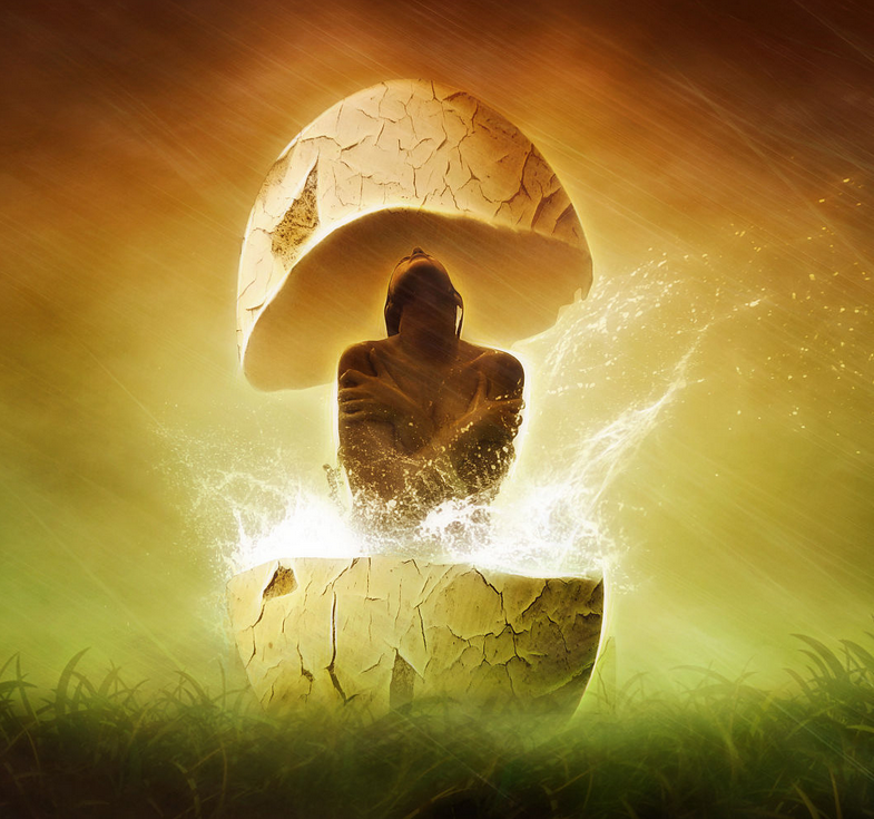 Концепция, структура, цели