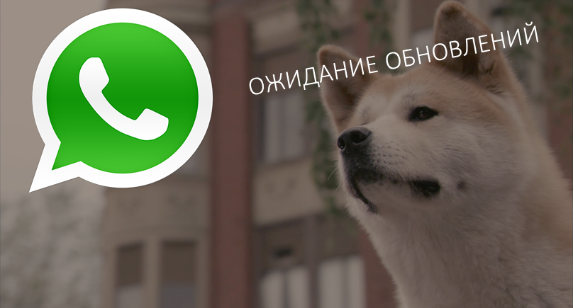 Ждем 