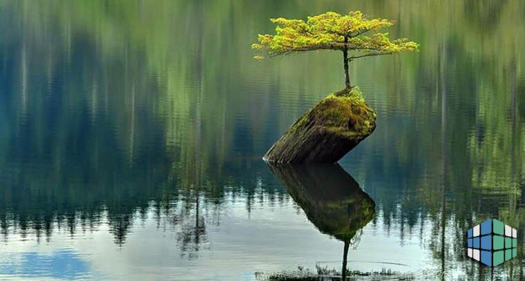 Самодостаточность. 