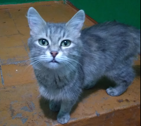 из личного архива