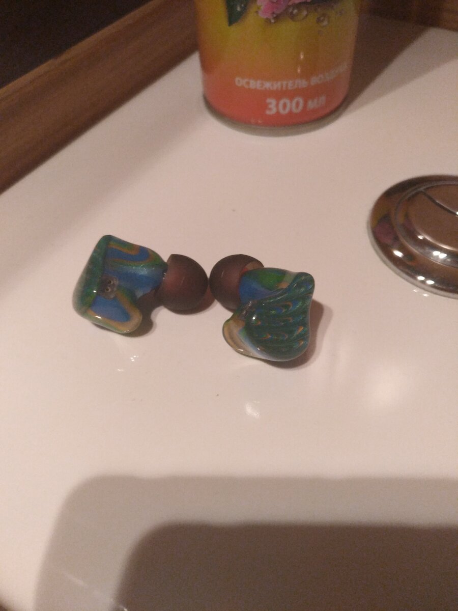 Представитель данного семейства в естественной среде обитания