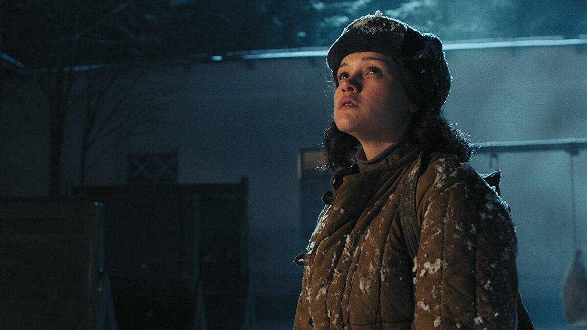 Кадры из фильма Максима Бриуса, Леонида Пляскина "Зоя" (фото: https://goo.su/4gmy).