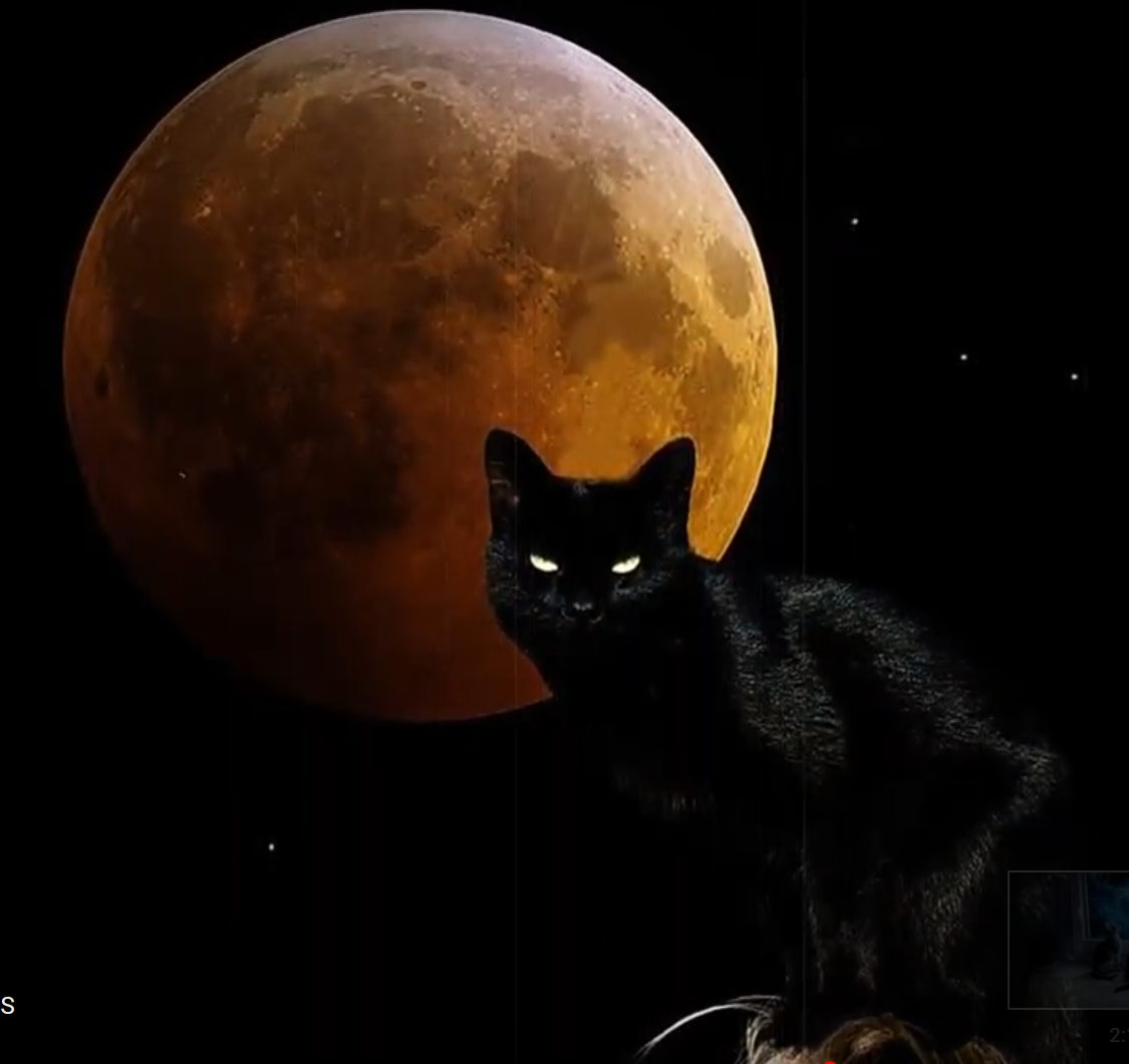 готика луна. полнолуние. под черный луной. полнолуние фэнтези. ночное озеро с луной.