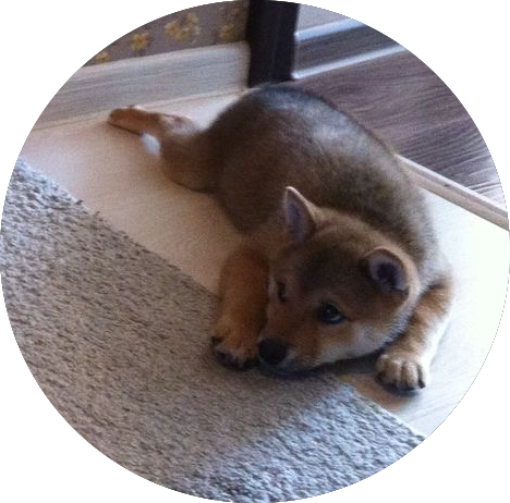 Крошка Тимо)))