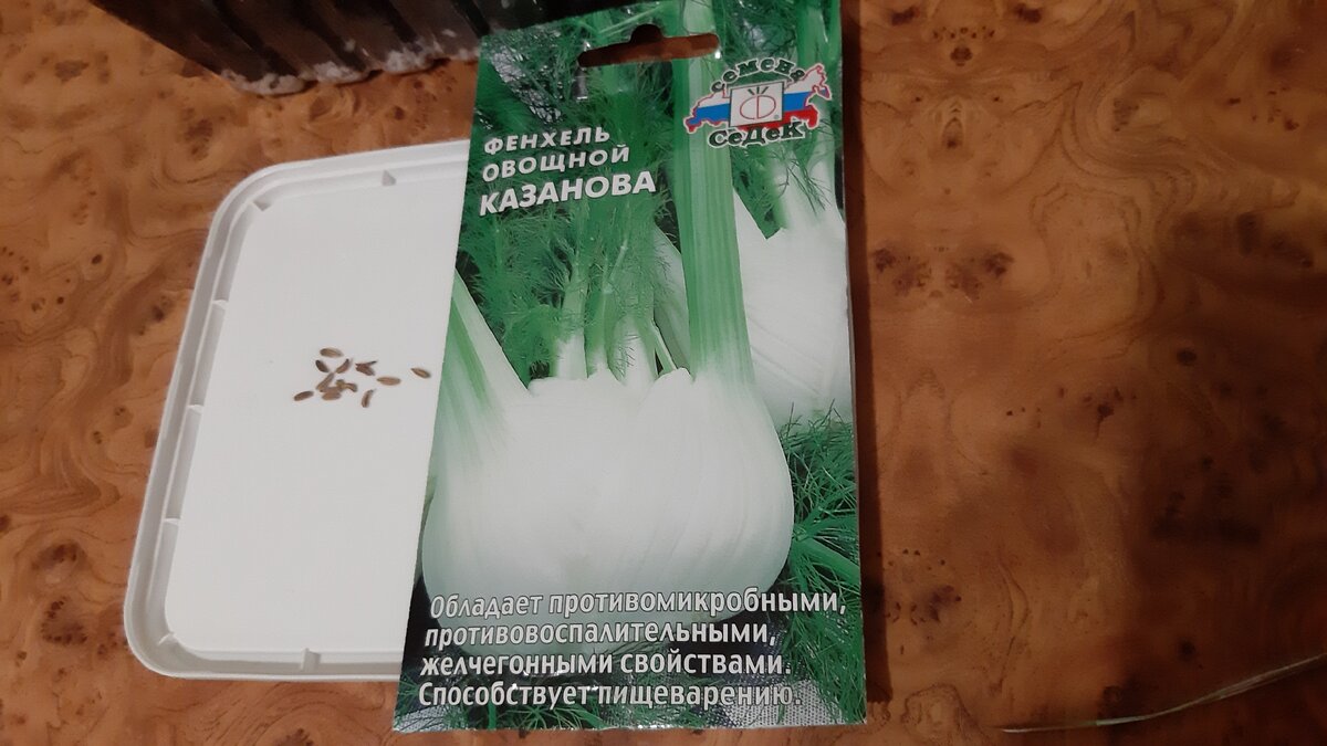 Фенхель этого сорта буду выращивать в 2021 году. Фото автора.