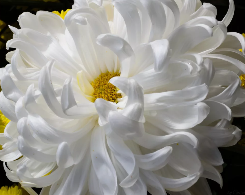 взято из открытых источников