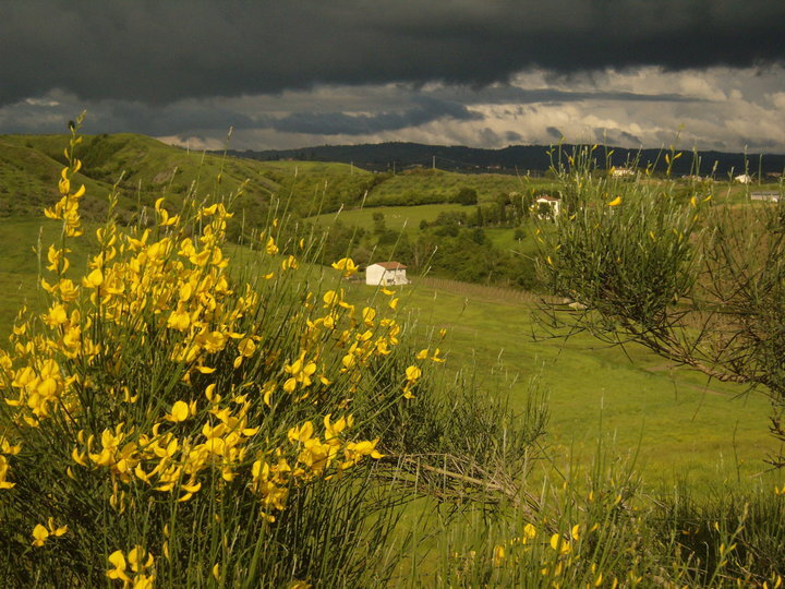фото: А.Прохор
