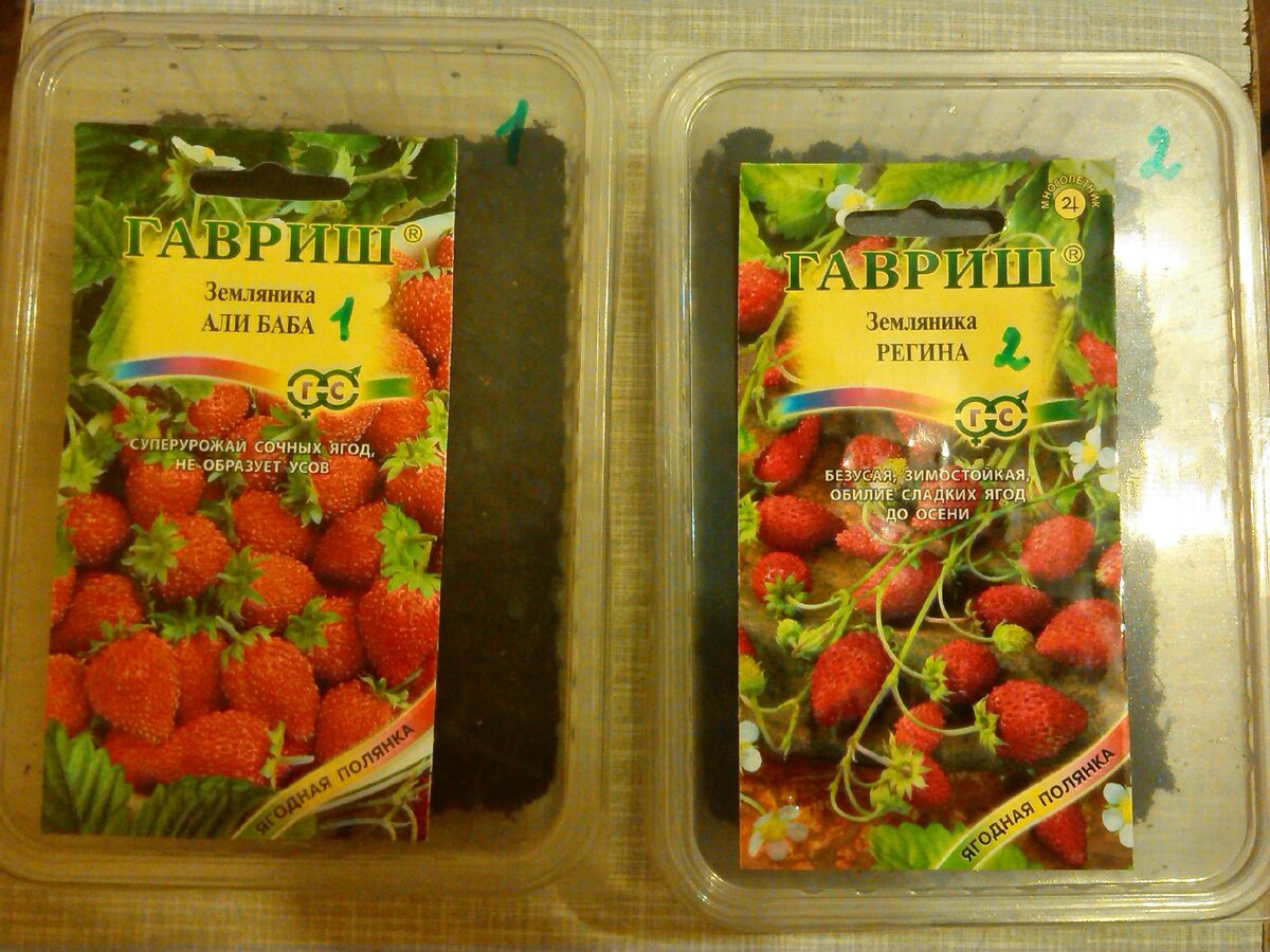 Листайте галерею. Здесь пакетики семян с информацией