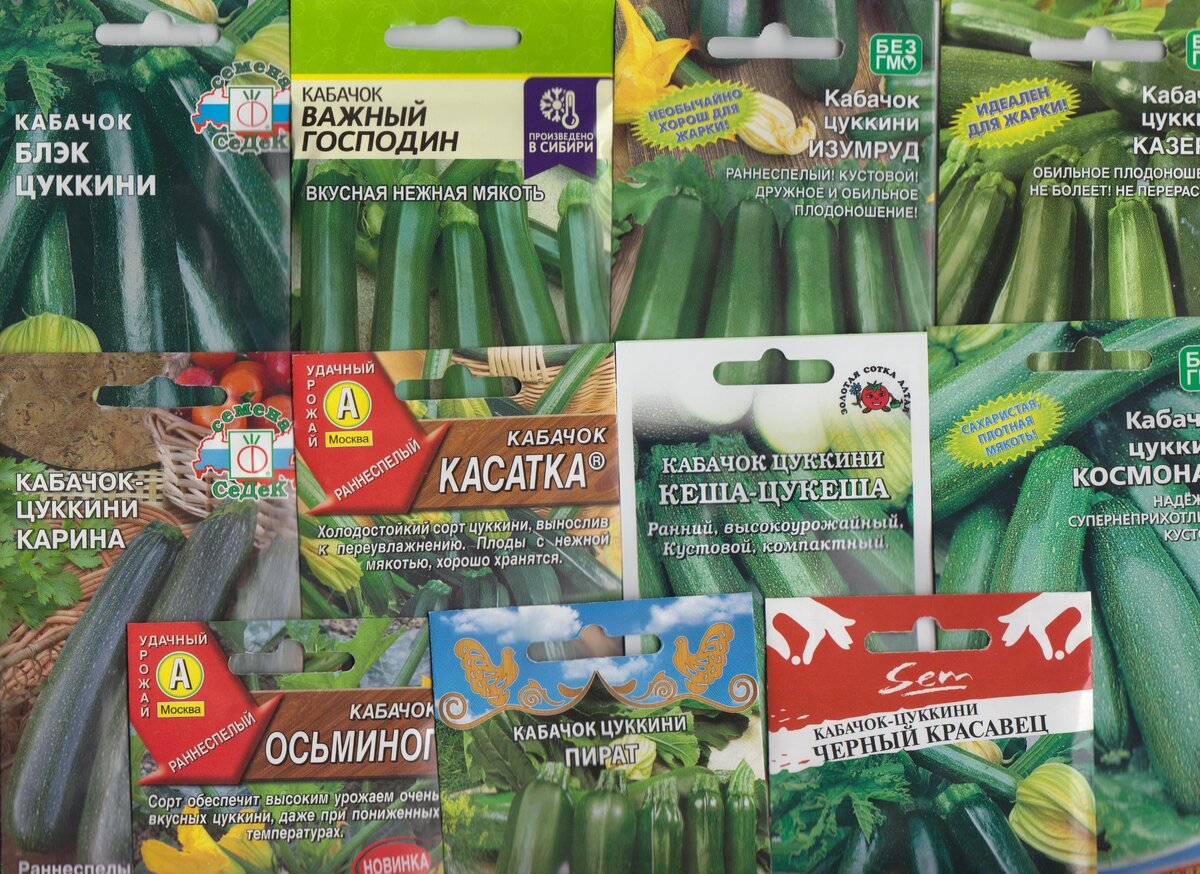 Семена кабачков из посылки