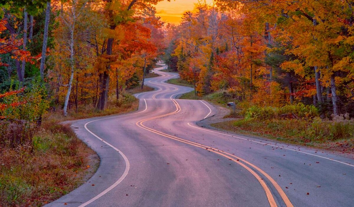 Фото из источника Яндекс картинки