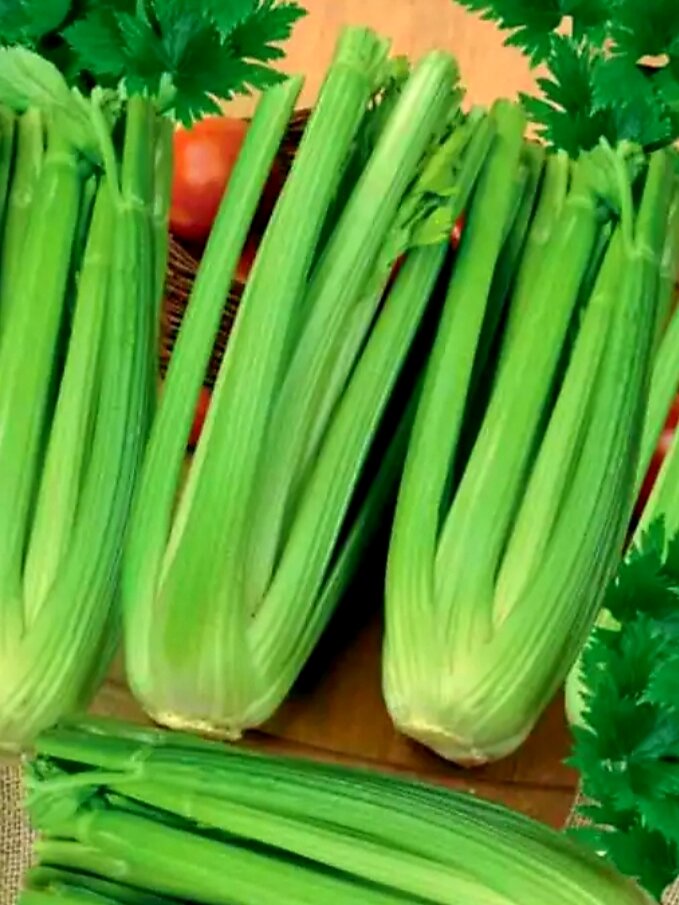 Вот он, чудо-овощ. Хоть сами выращивайте, хоть покупайте. Польза огромная. Фото из сети