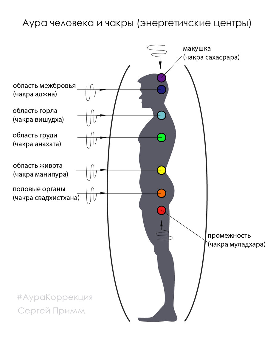 Чакры в теле человека фото