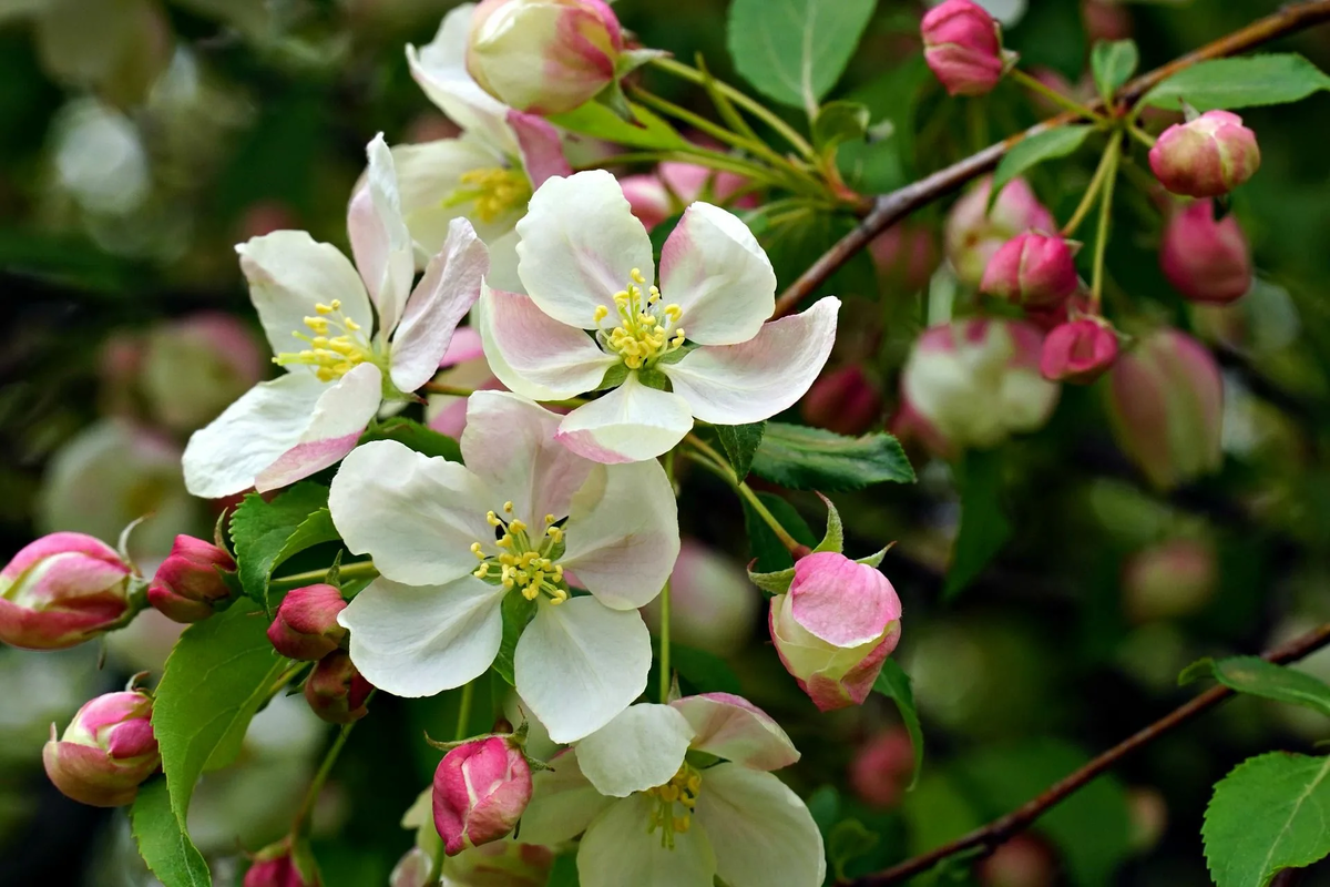 Наконец-то, Она уже близко!!!