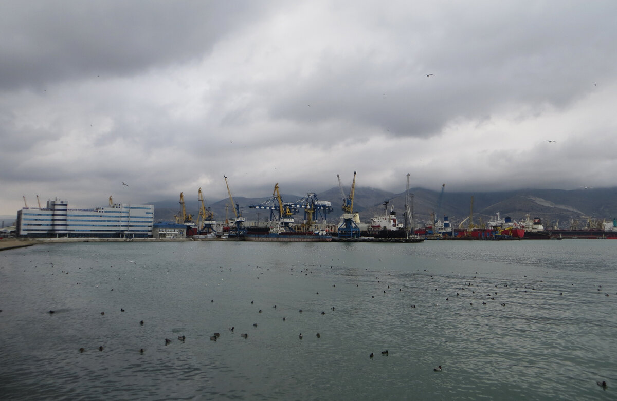 Новороссийская таможня