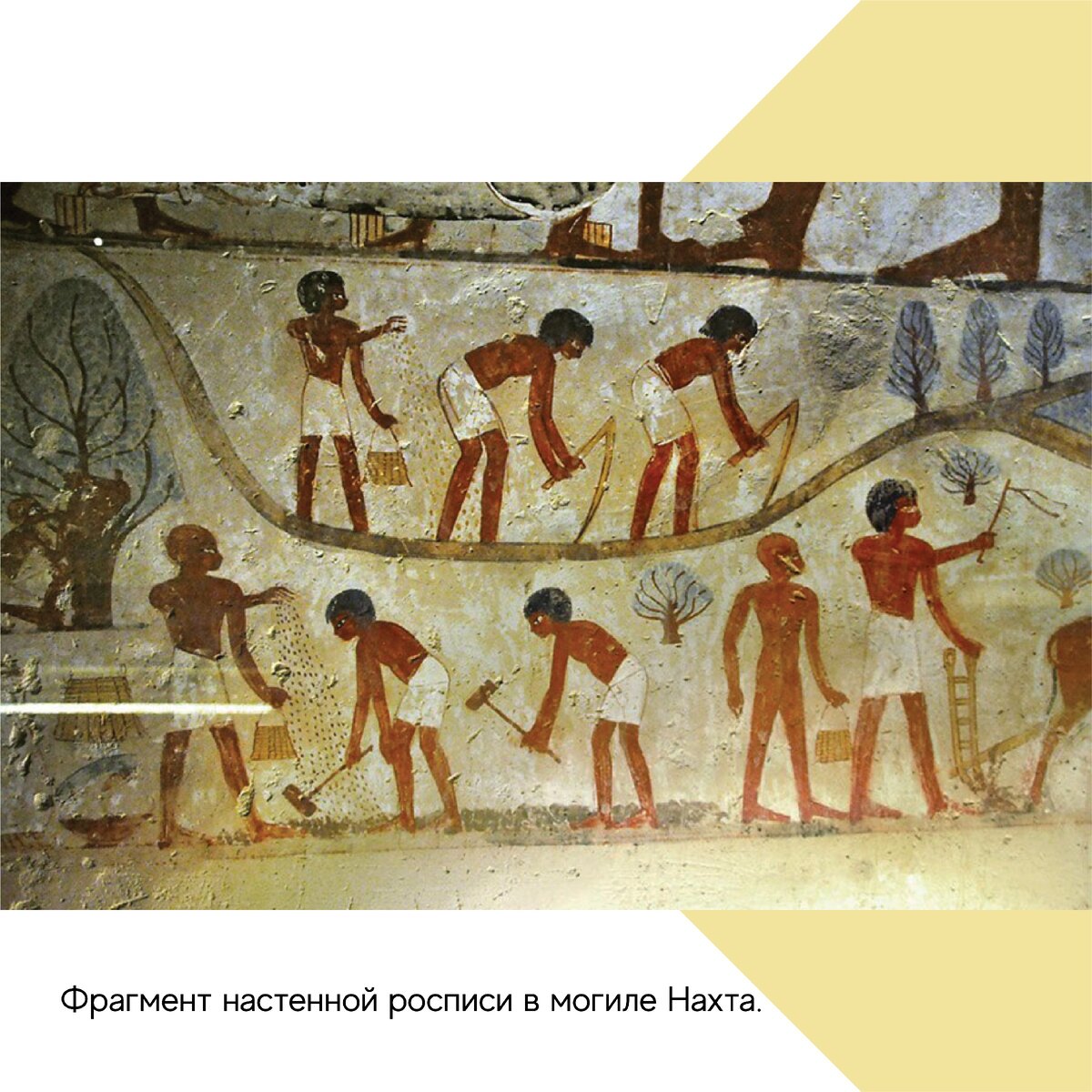 Рисунок жизнь египтян. Слуги древнего Египта фрески. Земледельцы древнего Египта фрески. Земледелие древнего Египта фрески. Древний Египет фреска ремесленник.
