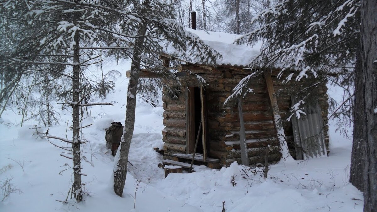 Яндекс картинки. 