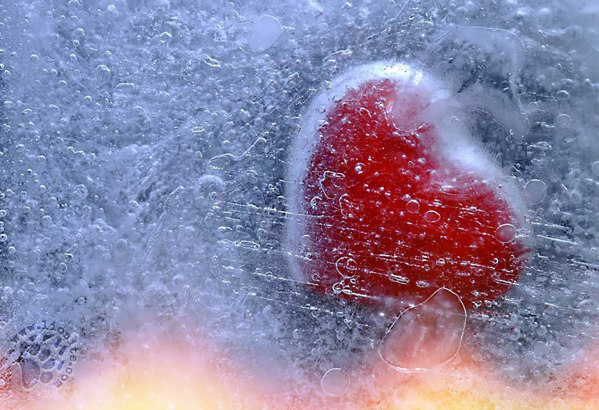 Холод наше счастье холод моя душа. Сердце во льду. Сердечко во льду. Сердце на снегу. Морозное сердце.