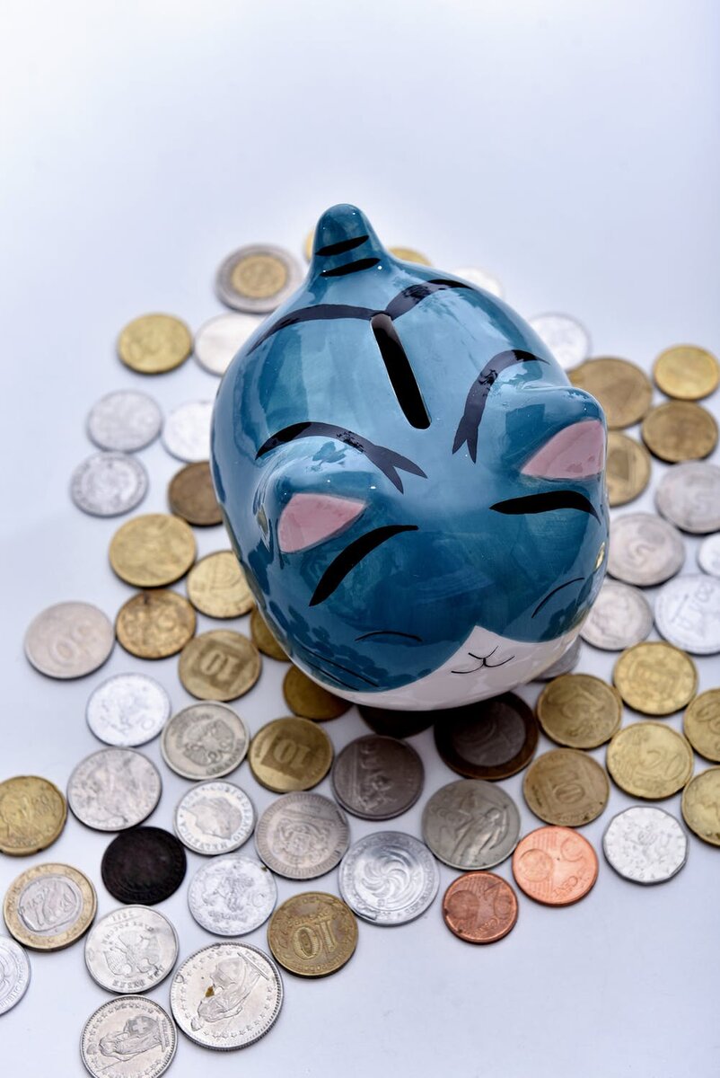 Источник: pexels.com