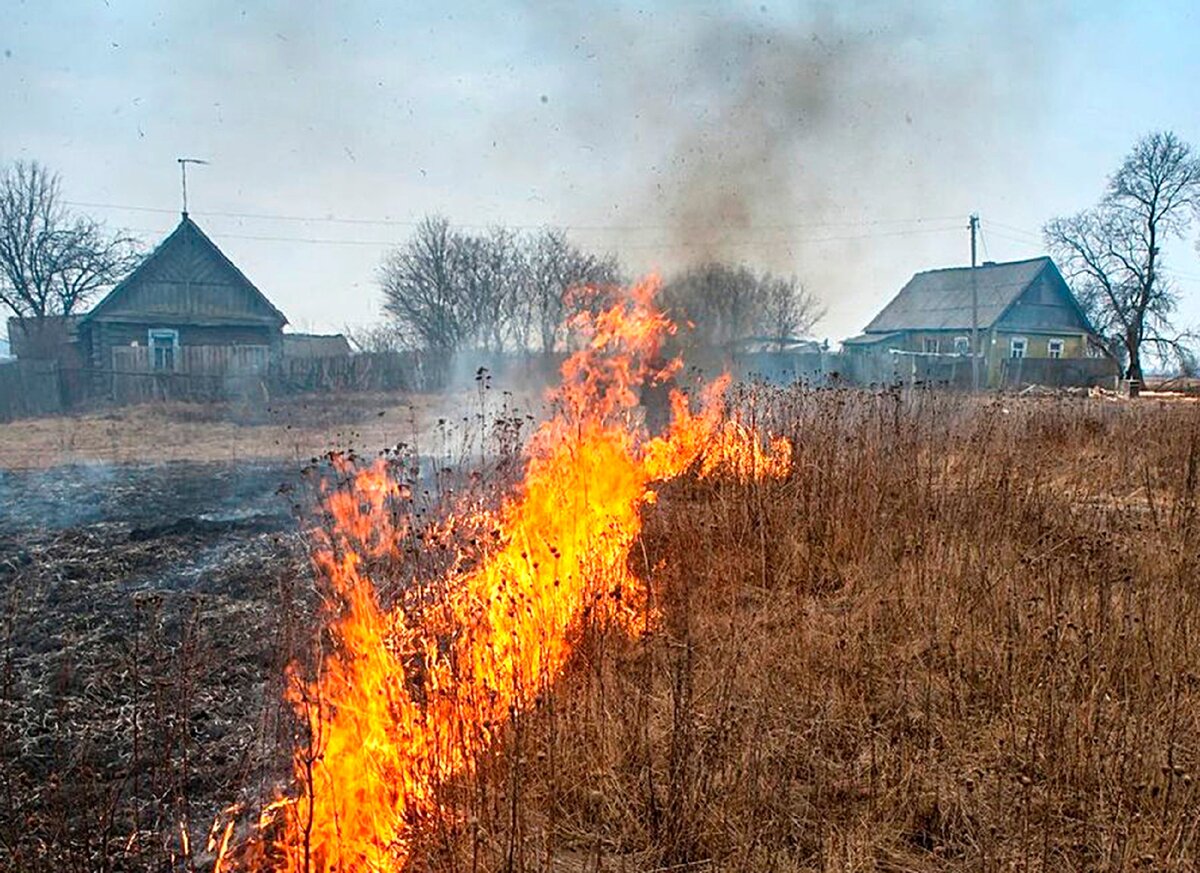 Пал травы