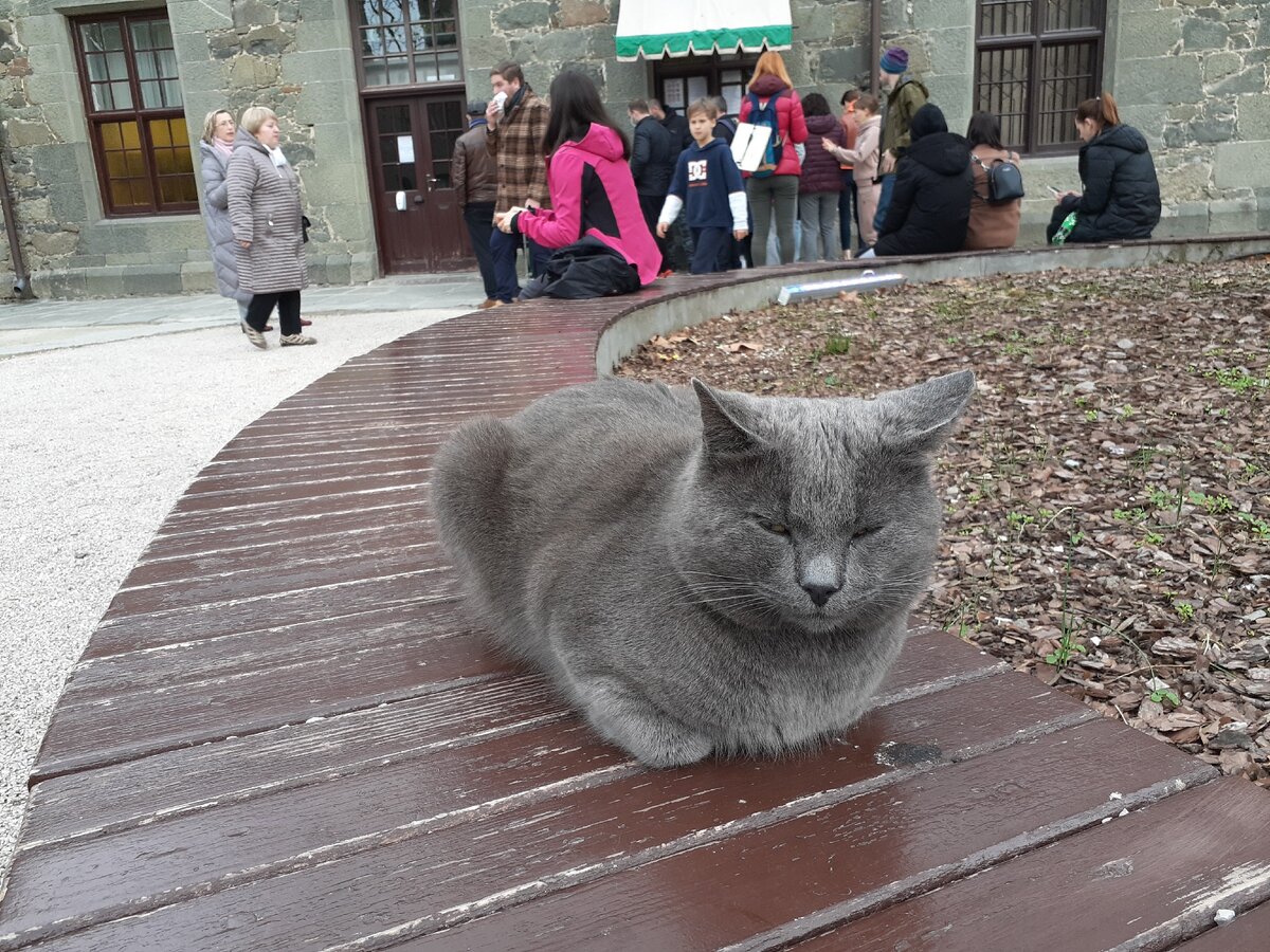 Воронцовский дворец зимой