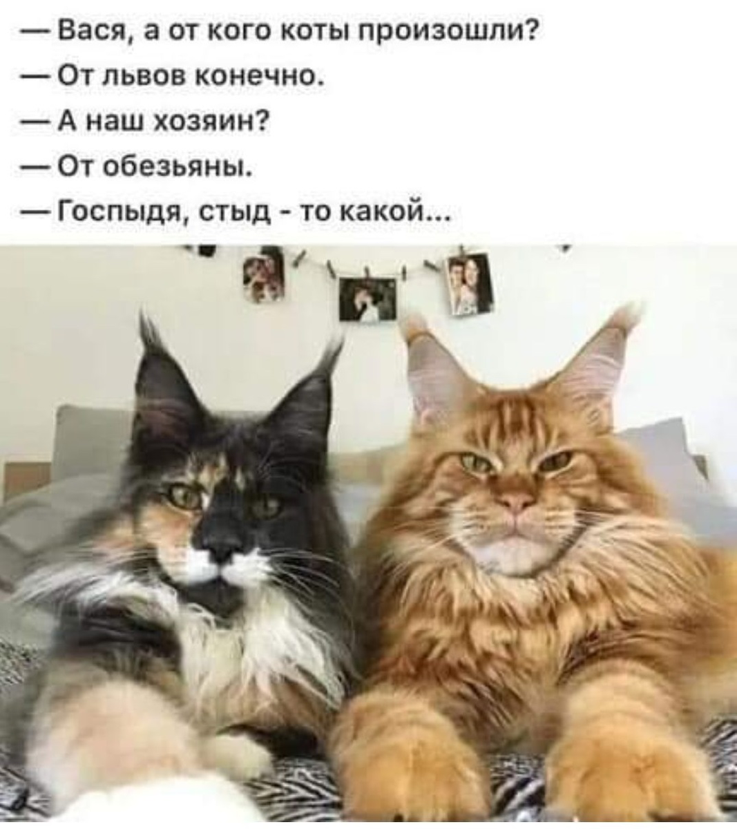 Из поста в fb