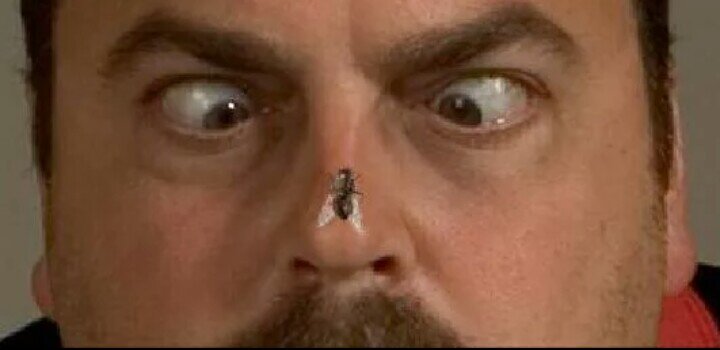 Источник : https://otvet.imgsmail.ru/download/96720614_cbc0a5085a081e377541fba28f3fc1a5_800.jpg