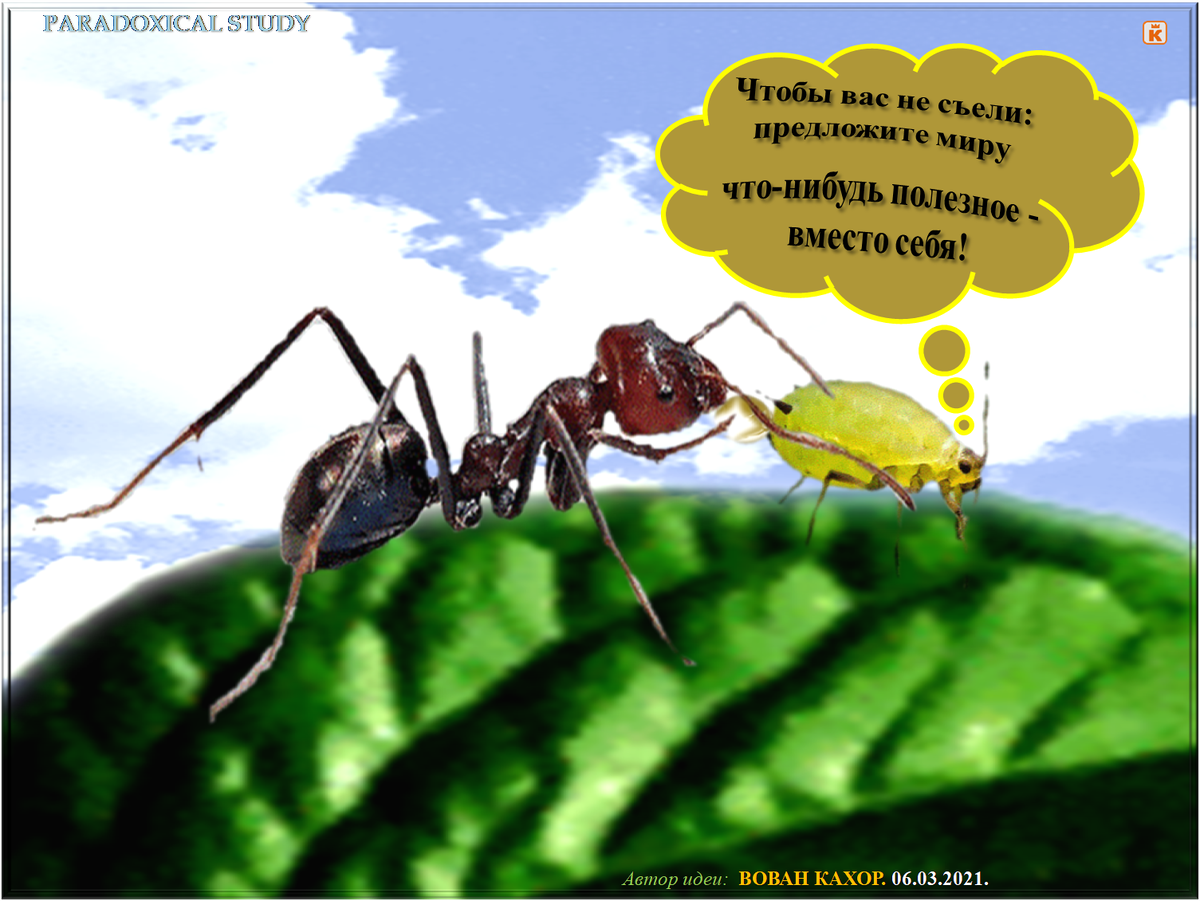 Заходите на мой сайт по адресу: paradoxicalstudy.blogspot.com