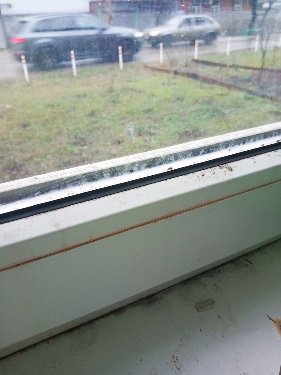 Фото автора. Машины одна за другой