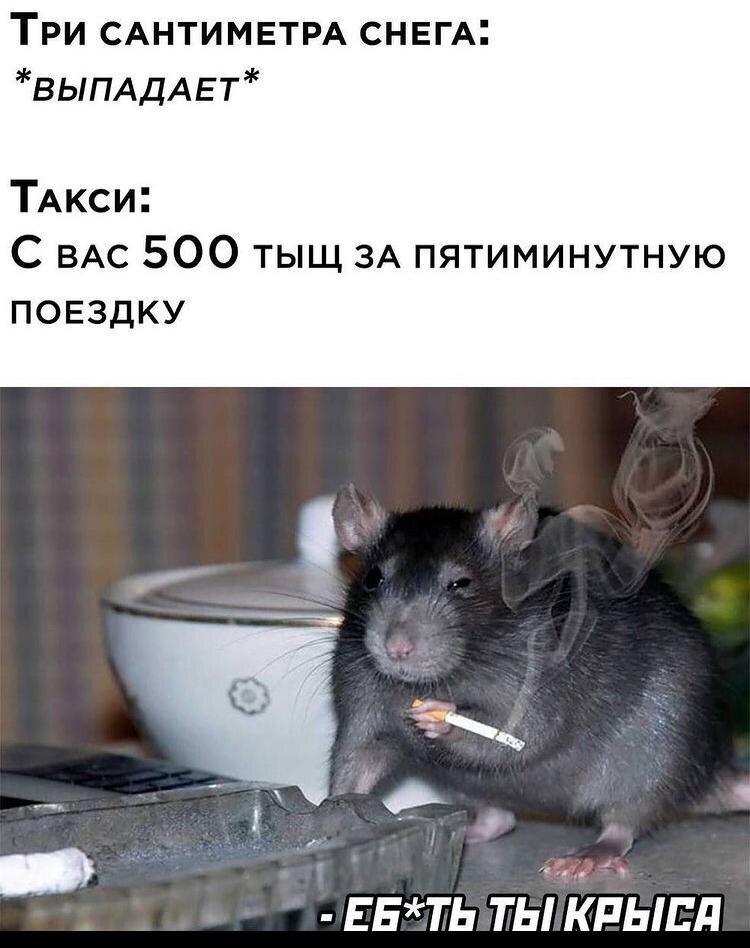  Источник: Личная переписка