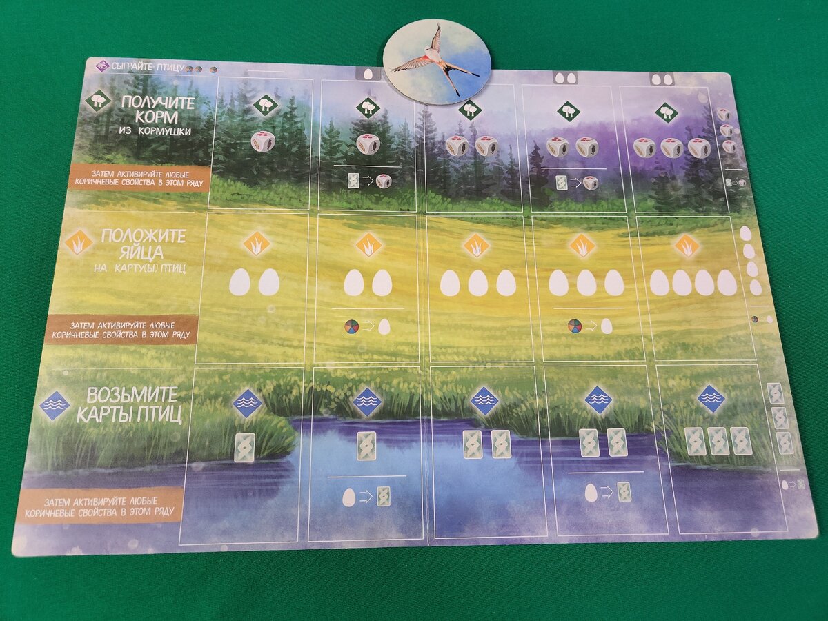 Планшет начинающего орнитолога.