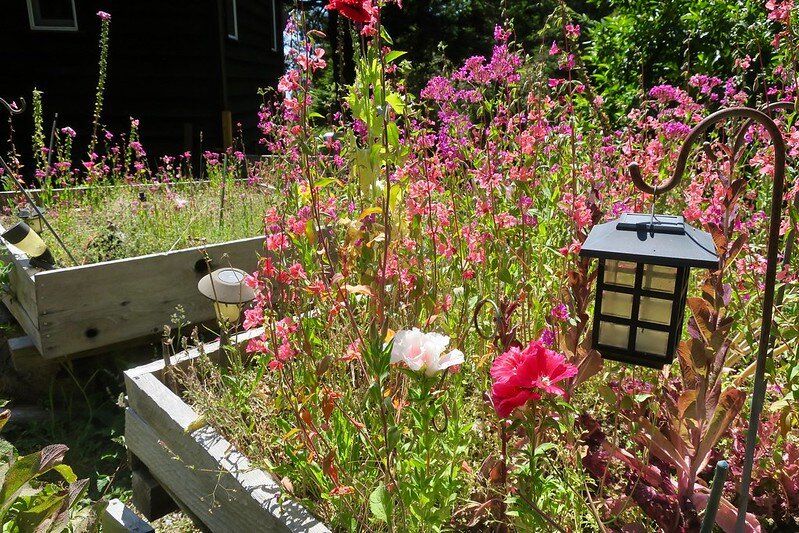 Фото: flickr.com