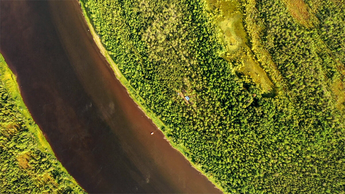 Солнечное утро